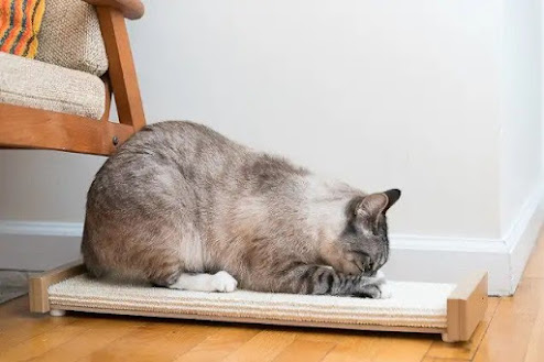 Setting up a cat claw scratcher